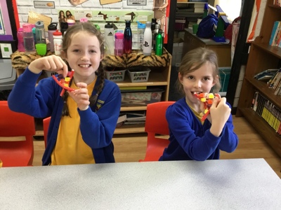 Science week in Sycamore class